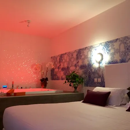 玫瑰别墅酒店 3* 尼斯