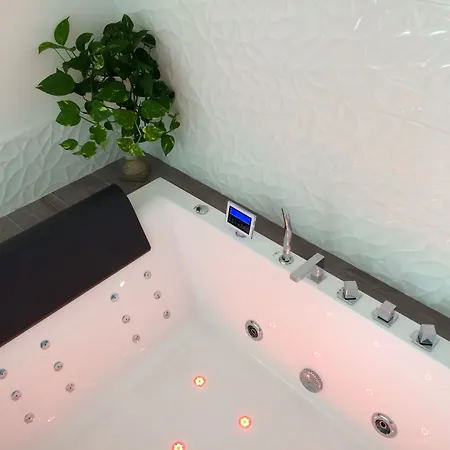 酒店 玫瑰别墅酒店 3*